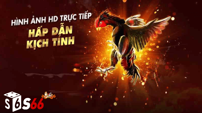 Cá cược đá gà S666