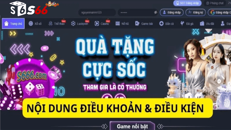 Điều kiện điều khoản S666